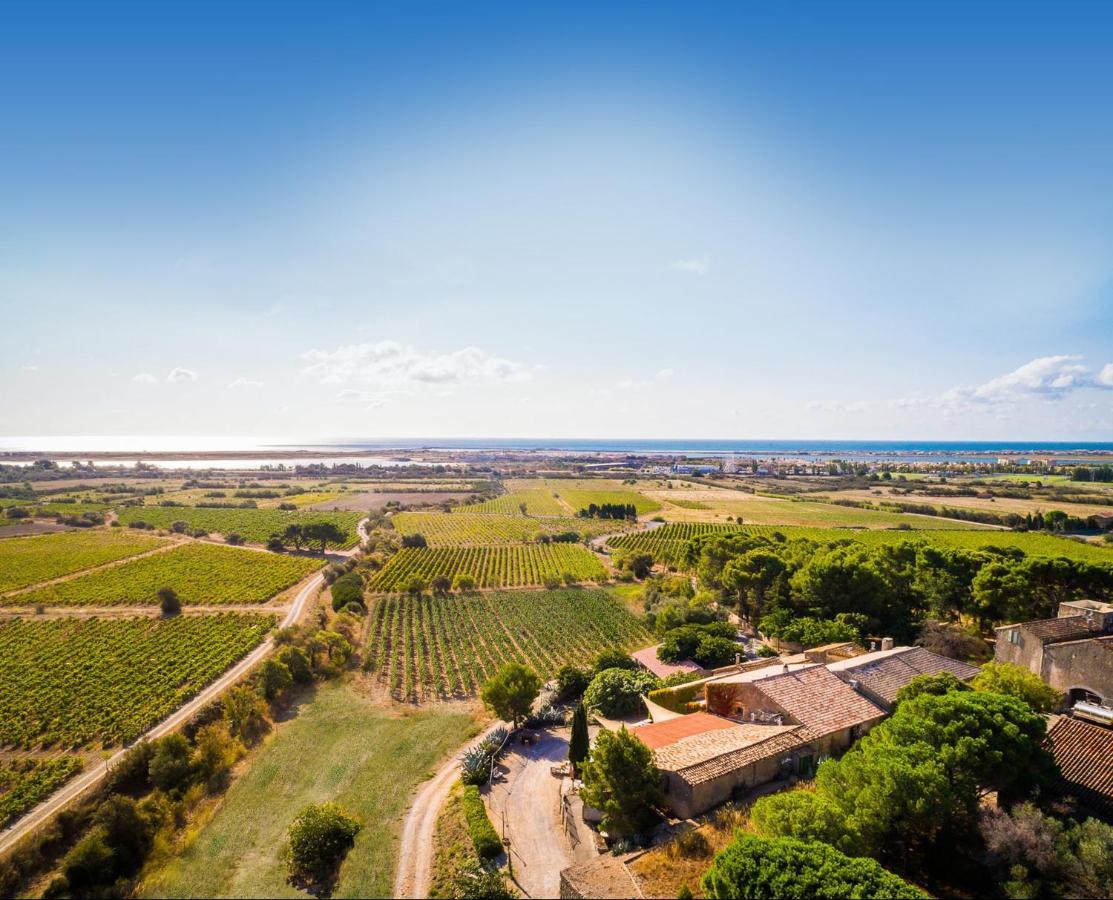 גרואיסאן Chateau Le Bouis מראה חיצוני תמונה