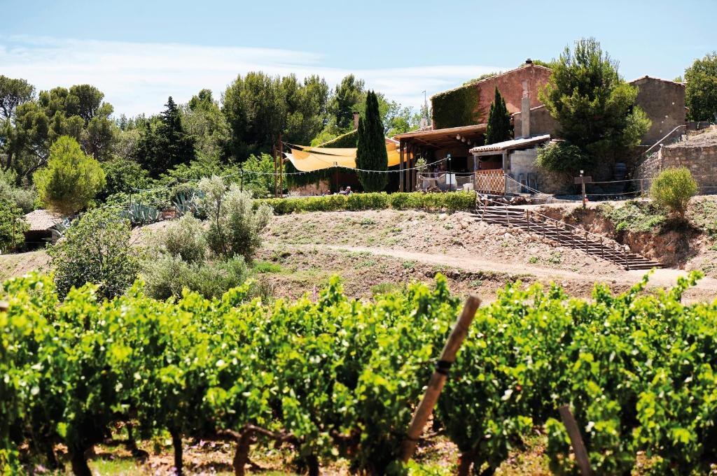 גרואיסאן Chateau Le Bouis מראה חיצוני תמונה